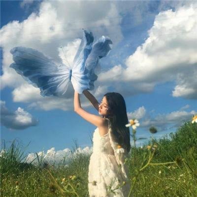 爱尔兰的弗兰克